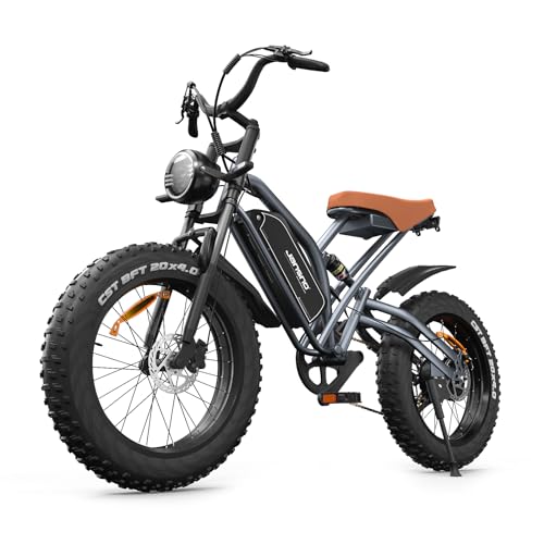 JANSNO Bicicletta Elettrica 20' x 4.0 Fat Tire, 7 Velocità Bici Elettrica, Freni a Disco Meccanici Anteriori e Posteriori, E-Bike per Adulti, Batteria Rimovibile 48V 14Ah