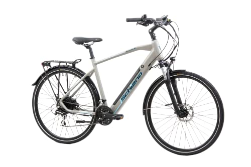 F.lli Schiano E-Wave 28" E-Bike, Bici Elettrica da Trekking con Motore 250W e Batteria al Litio 36V 11,6Ah estraibile, con Shimano 24 Velocità, colore Silver, Display LCD