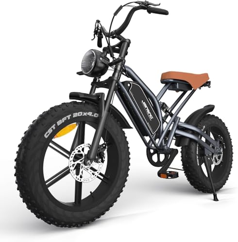 JANSNO Bicicletta Elettrica 20' x 4.0 Fat Tire, 7 Velocità Bici Elettrica, Freni a Disco Meccanici Anteriori e Posteriori, E-Bike per Adulti, Batteria Rimovibile 48V 14Ah